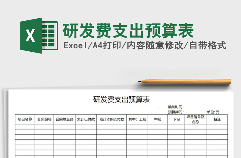 2021年研发费支出预算表