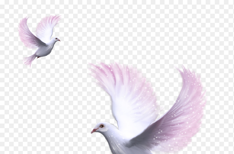 和平鸽紫色渐变翅膀党政免抠元素素材