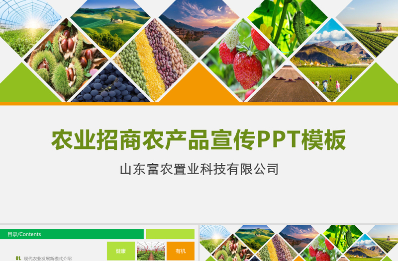 農(nóng)業(yè)招商農(nóng)產(chǎn)品宣傳PPT
