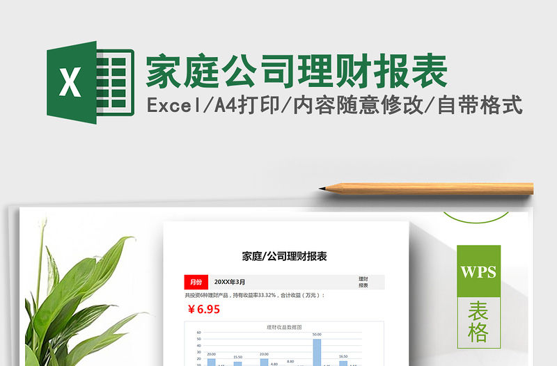 2021年家庭公司理財報表