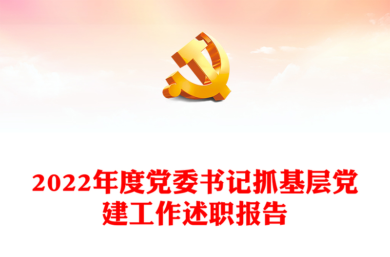 2022年度黨委書記抓基層黨建工作述職報告