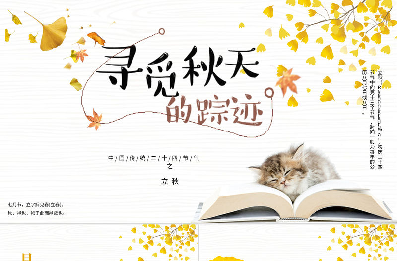 2020簡約古風(fēng)銀杏立秋二十四節(jié)氣PPT模板下載