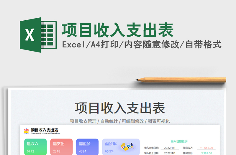 項目收入支出表