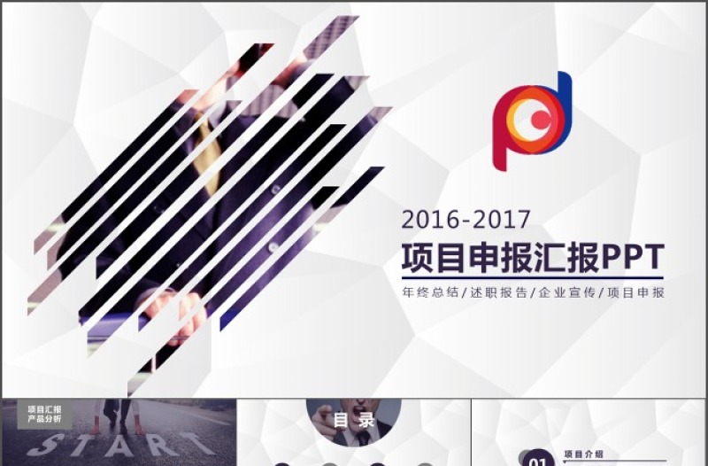 2017年項目申報匯報PPT