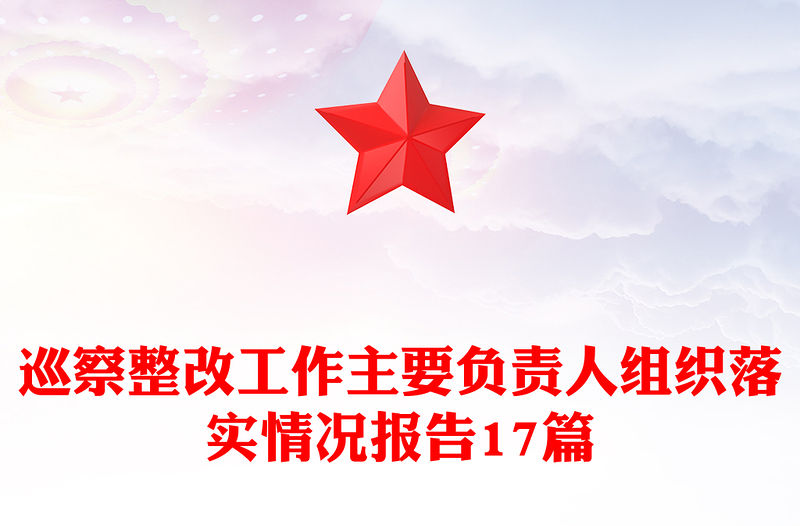巡察整改工作主要負責人組織落實情況報告17篇