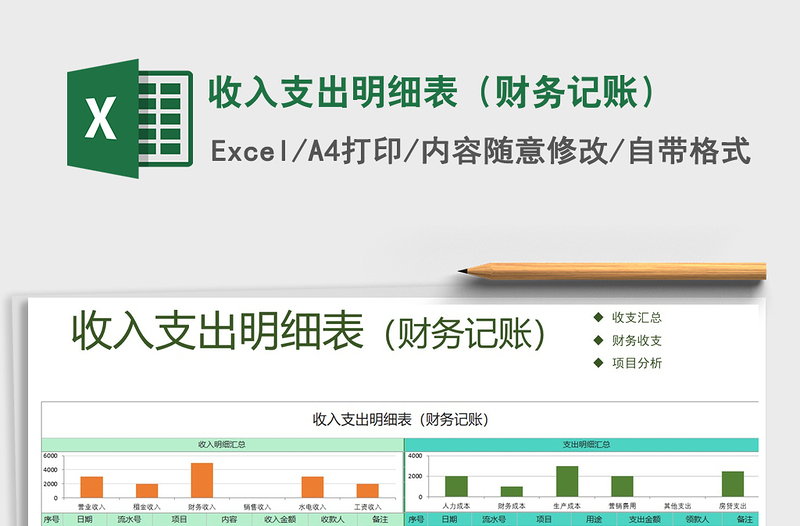 2021年收入支出明細(xì)表（財(cái)務(wù)記賬）