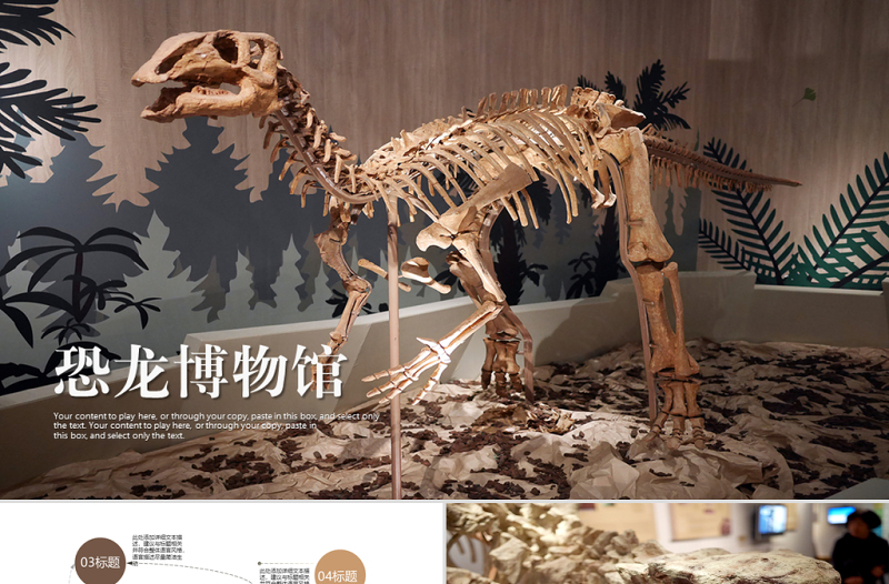 恐龍化石博物館ppt動(dòng)態(tài)模板