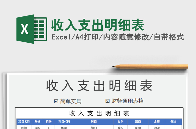 2021年收入支出明細表