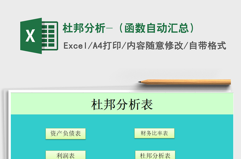 2021年杜邦分析-(函數(shù)自動匯總)