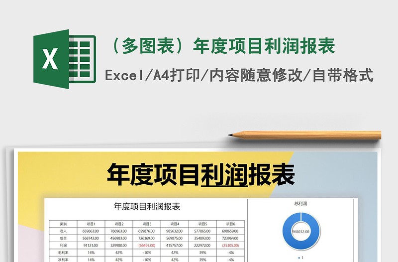 2021年（多图表）年度项目利润报表