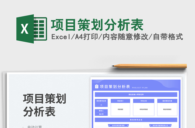 項目策劃分析表免費下載