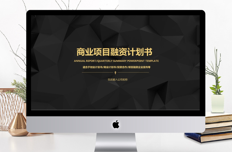 簡約大氣黑金商務(wù)策劃融資計(jì)劃書