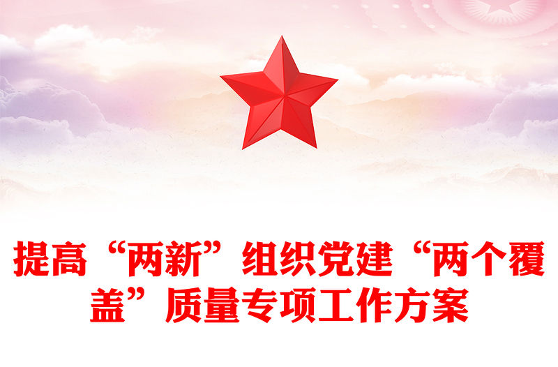 提高“兩新”組織黨建“兩個覆蓋”質量專項工作方案