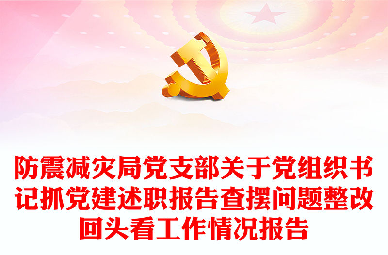 防震減災局黨支部關于黨組織書記抓黨建述職報告查擺問題整改回頭看工作情況報告