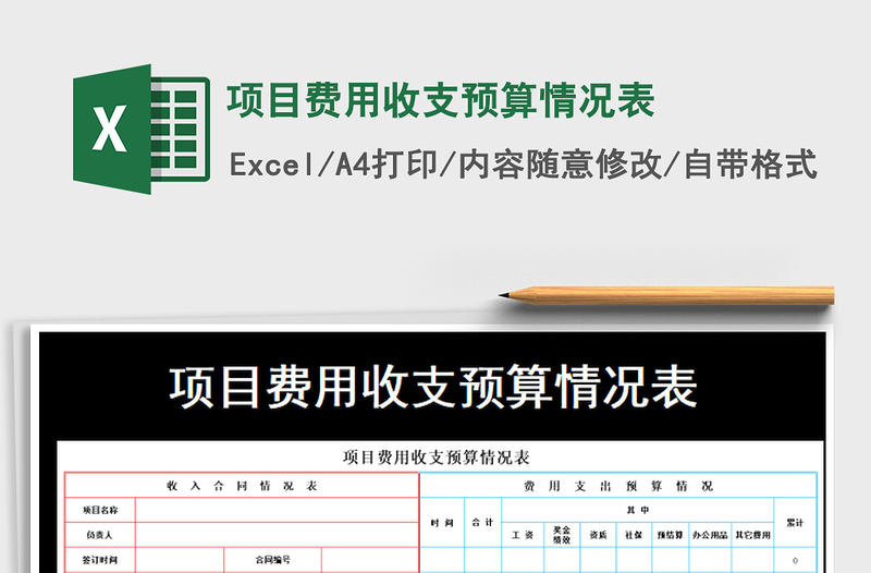 2021年项目费用收支预算情况表免费下载