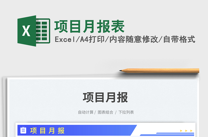 项目月报表免费下载