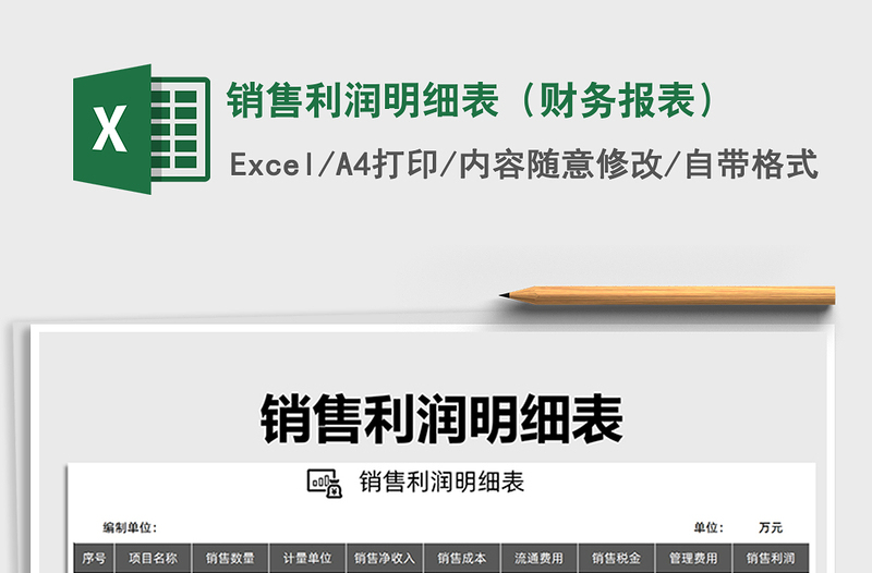 2021年銷售利潤明細表(財務報表)免費下載
