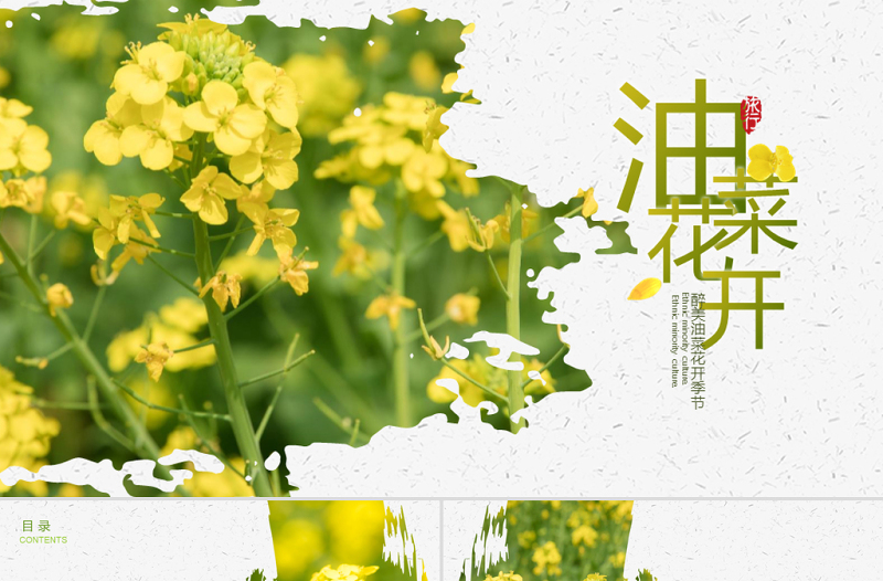 原創(chuàng)春天鄉(xiāng)村旅游油菜花風(fēng)景油菜花田PPT模板