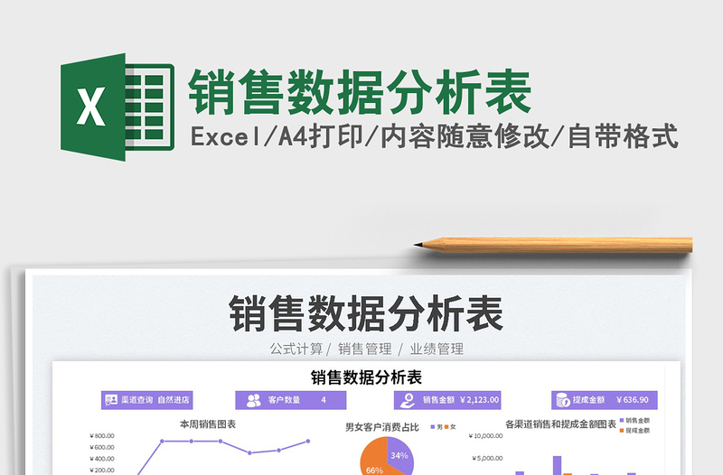 銷售數(shù)據(jù)分析表