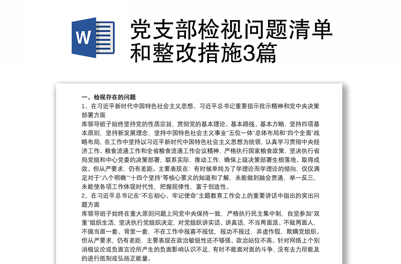 黨支部檢視問題清單和整改措施3篇