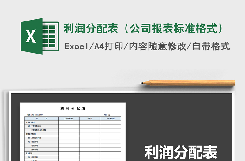2021年利润分配表（公司报表标准格式）