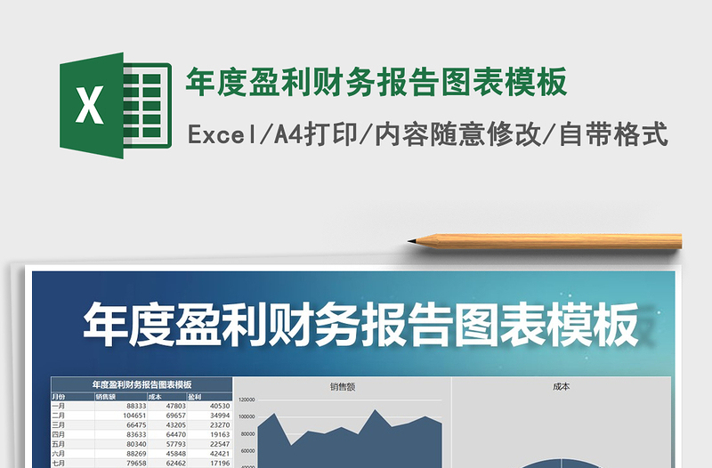 2021年年度盈利財(cái)務(wù)報(bào)告圖表模板