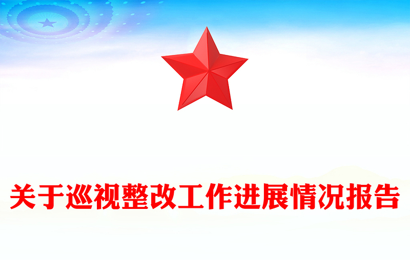 關(guān)于巡視整改工作進展情況報告