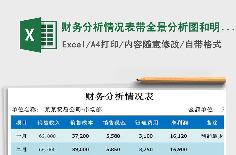 2021年財(cái)務(wù)分析情況表帶全景分析圖和明細(xì)項(xiàng)目分析圖