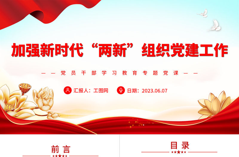 2023加強新時代“兩新”組織黨建工作PPT黨政風新時代黨的基層組織建設專題黨課