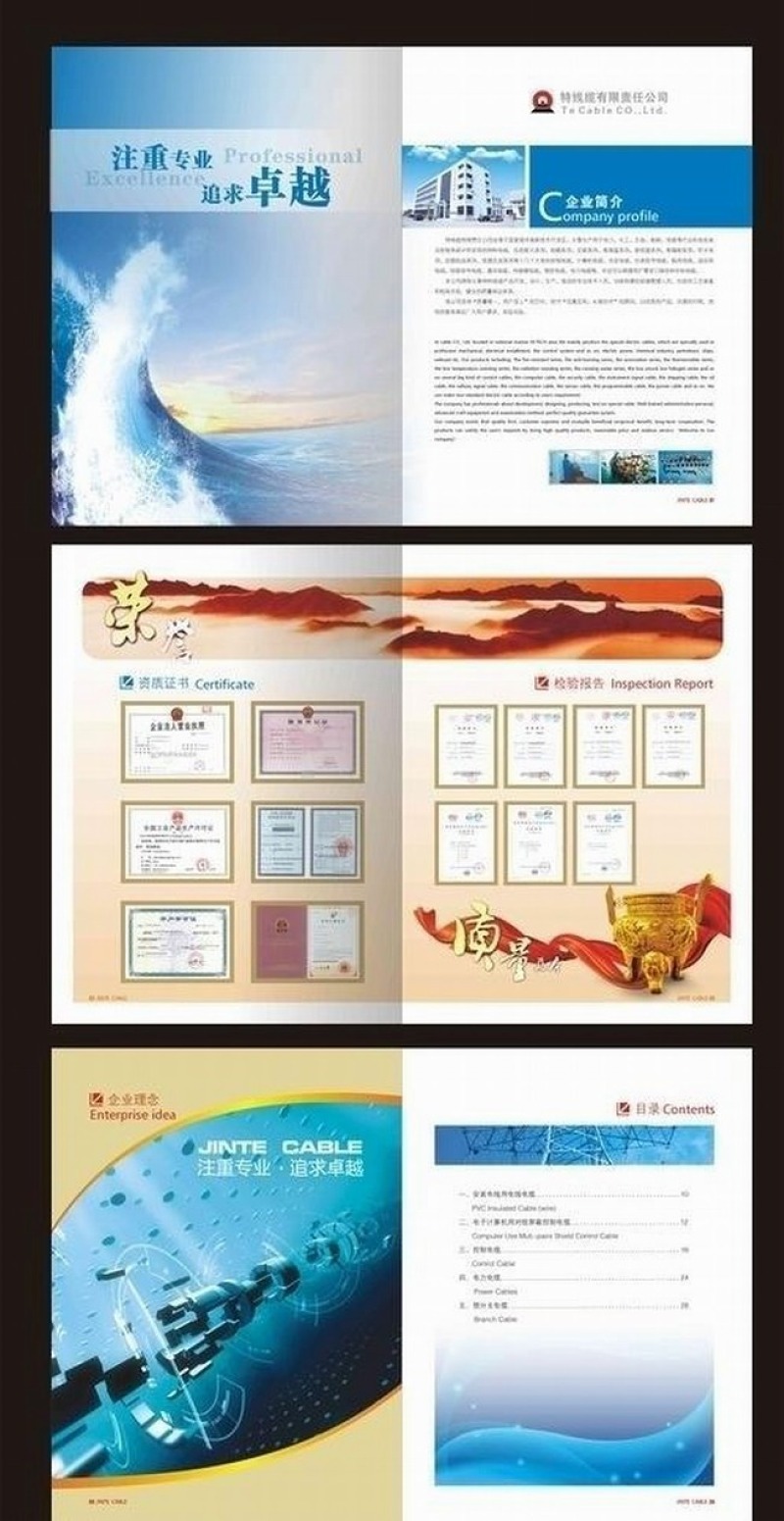 其它证书模板 > 企业宣传册画册荣誉展示介绍矢量模板  【图片,文字