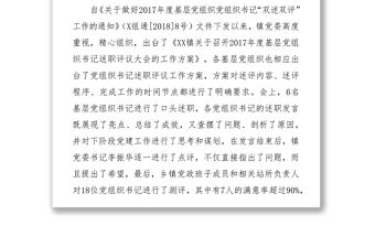 “雙述雙評”工作開展情況總結