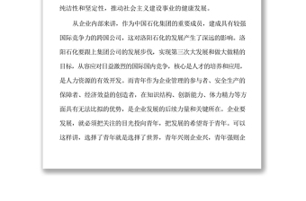 國有企業(yè)黨建帶團建工作匯報