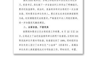 關于“小金庫”自查自糾工作情況的報告