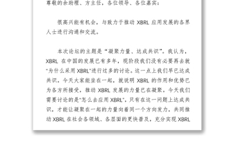 服务社会各方建立中国特色的XBRL应用体系