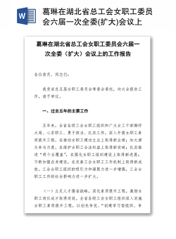 葛琳在湖北省总工会女职工委员会六届一次全委(扩大)会议上的工作报告