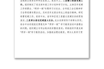 黨建工作總結(jié):落實(shí)全面從嚴(yán)治黨主體責(zé)任不斷提升黨建工作水平
