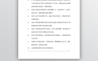 銷售業(yè)務(wù)員崗位職責(zé)