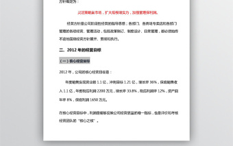 公司年度经营计划