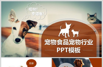 2022猫狗狂犬病传播途径ppt