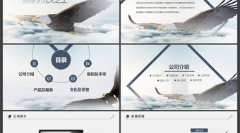 大氣蒼鷹公司簡介企業宣傳公司推廣PPT