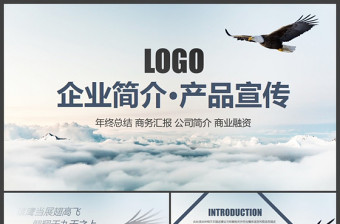 大氣蒼鷹公司簡介企業(yè)宣傳公司推廣PPT