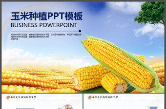 农业玉米种子新农村动态PPT模板