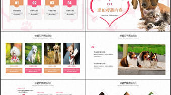 世界動物日寵物店寵物美容寵物醫院動態PPT