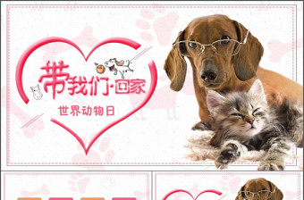 世界動物日寵物店寵物美容寵物醫(yī)院動態(tài)PPT