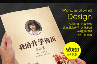 中国风水墨小升初Word简历模版