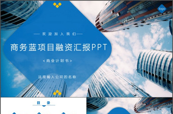 项目的商业模式模版ppt