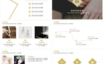 高檔奢侈品珠寶行業宣傳推廣動態PPT模板