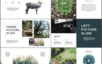 歐美動物之森文藝自然風景動物保護PPT模板