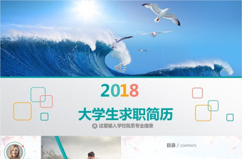 飛鳥翱翔海洋求職簡(jiǎn)歷PPT模板