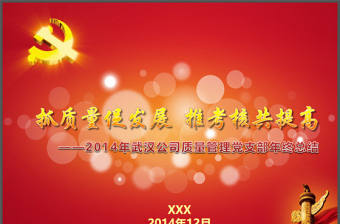 2014年質量管理部黨支部工作總結報告ppt模板